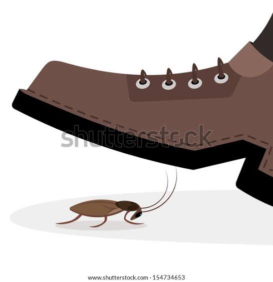 coolhandluke tweet media