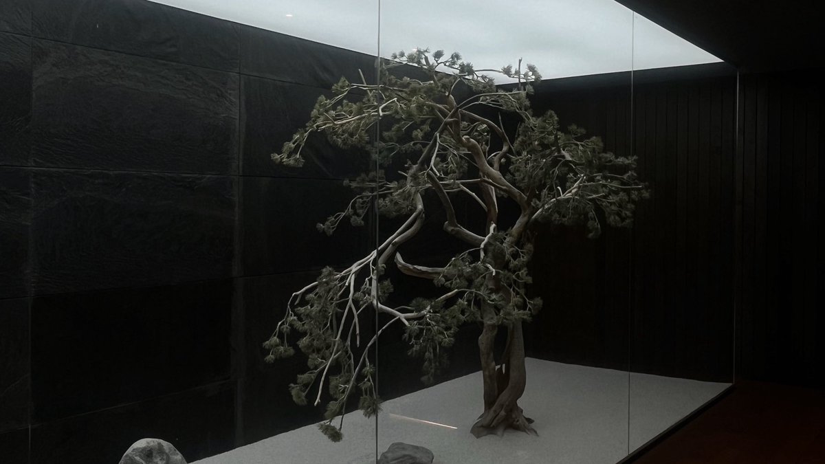 ☘︎ 𝓣yne tweet media