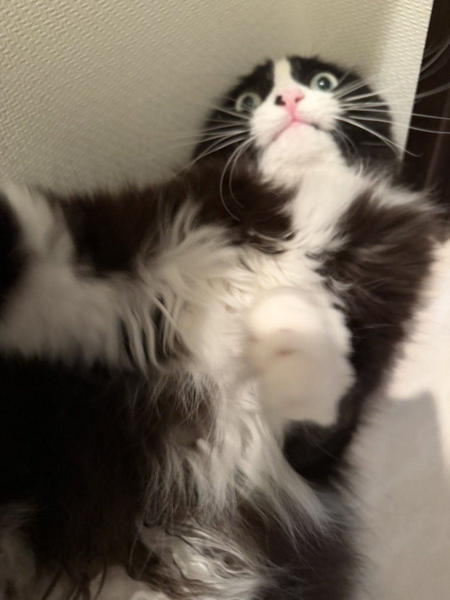 松永 健也 tweet media