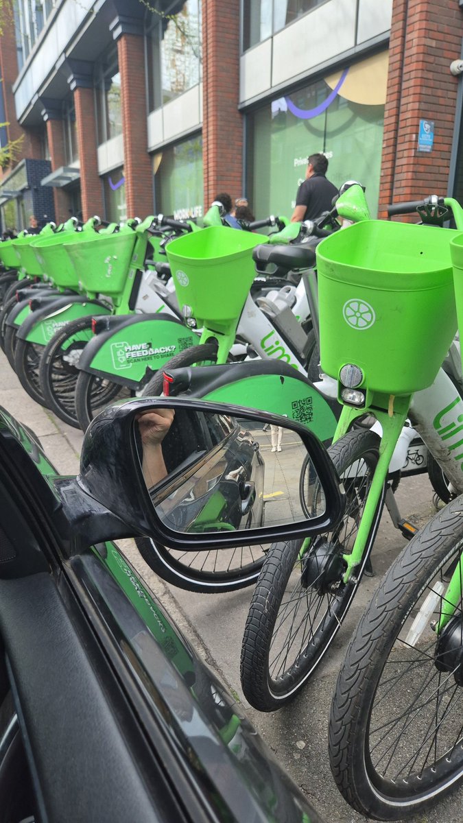 OnlyACuriousCatus tweet media