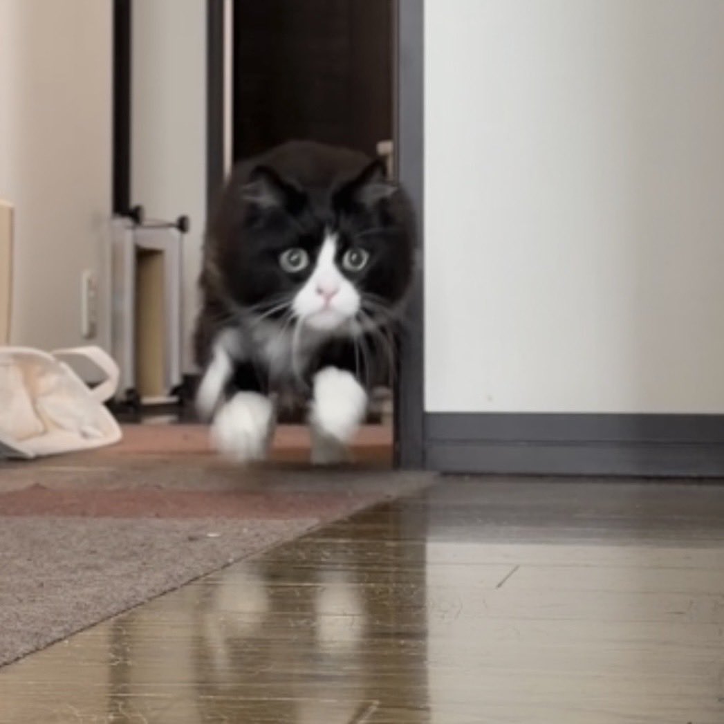 松永 健也 tweet media