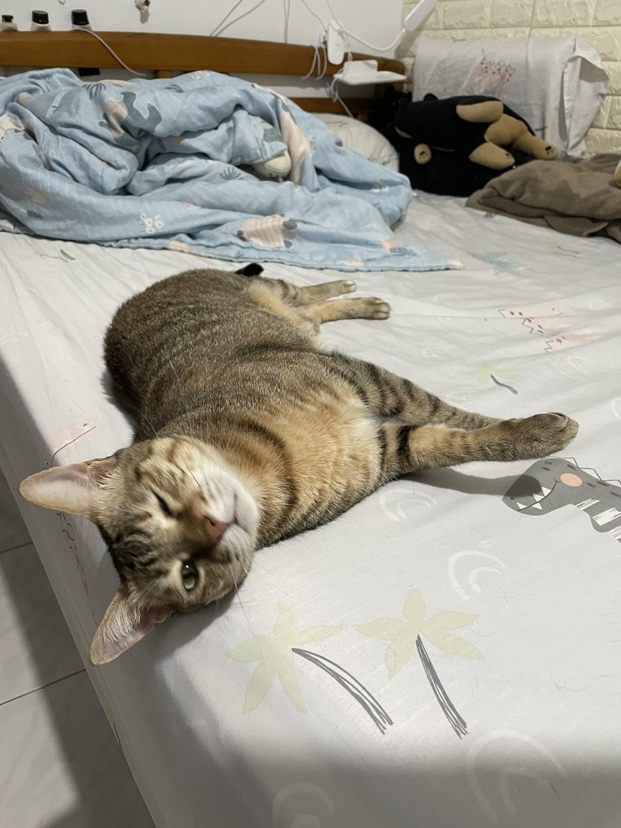 快樂僵屍 tweet media