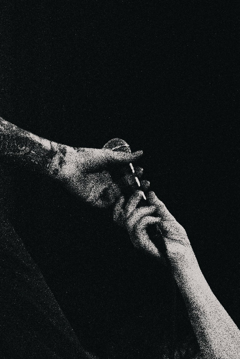 x - alice tweet media