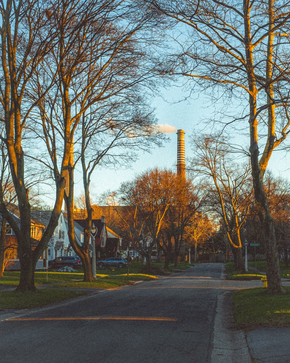 This Is Rochester! tweet media