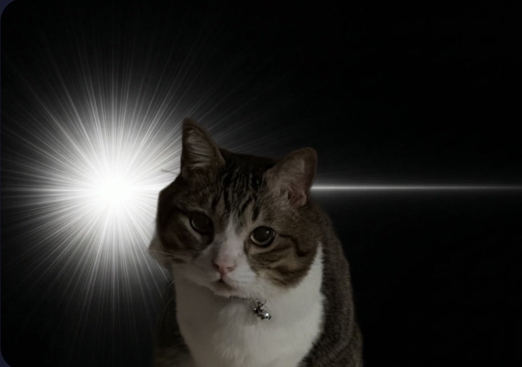 ﾆｬﾋﾟｰﾝ‼︎