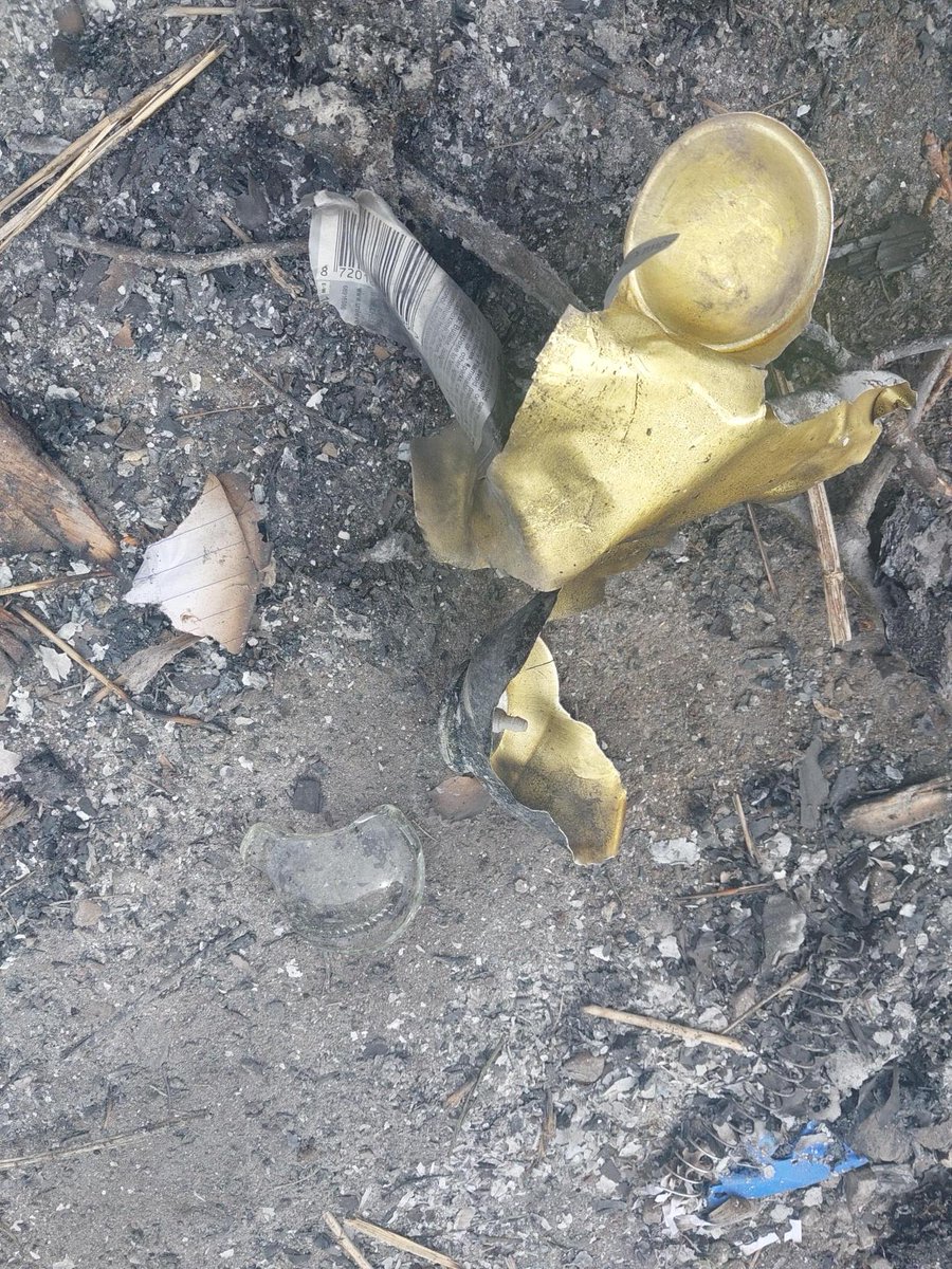 The Parks Trust tweet media