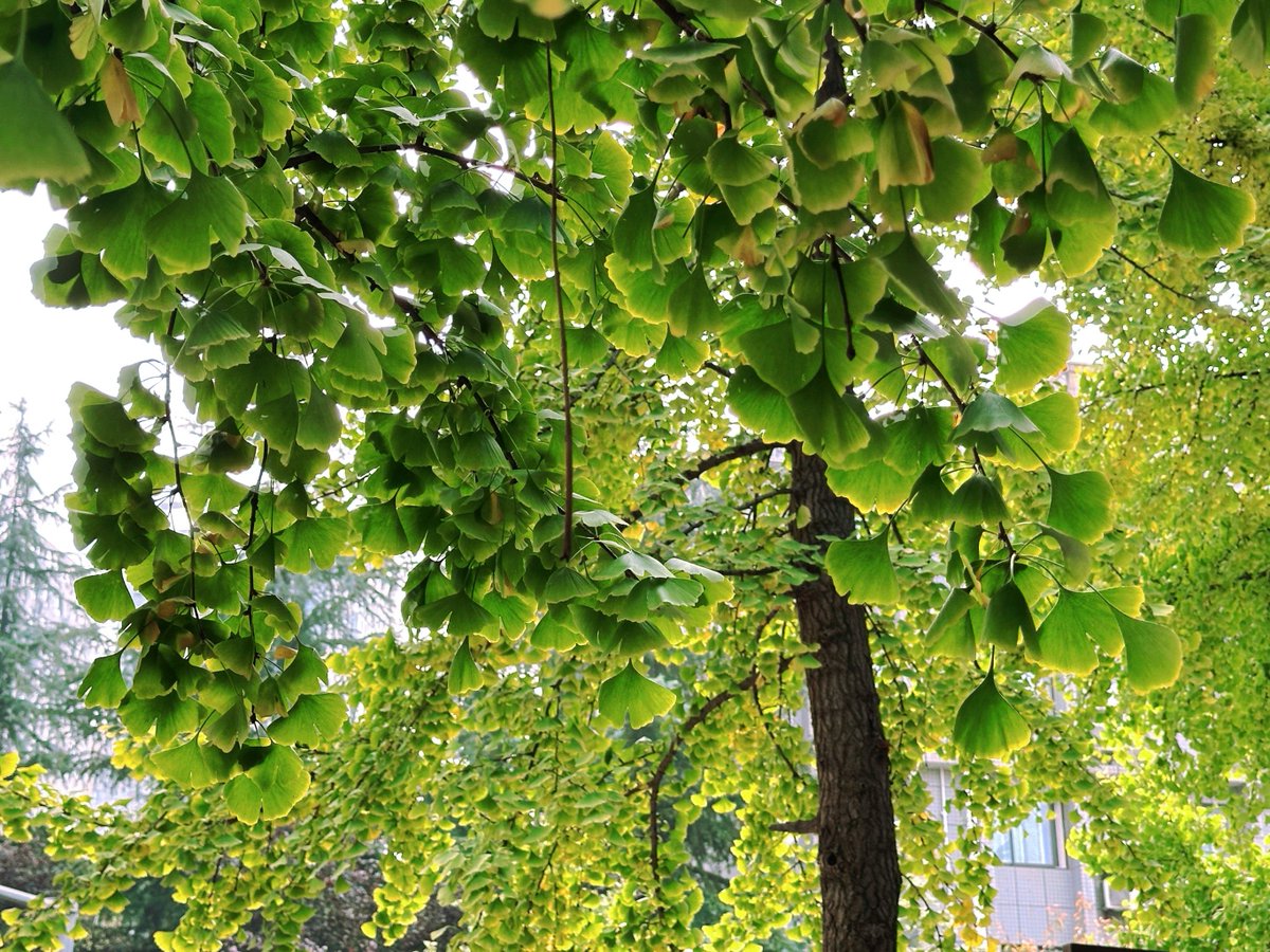 Jackie Boland tweet media