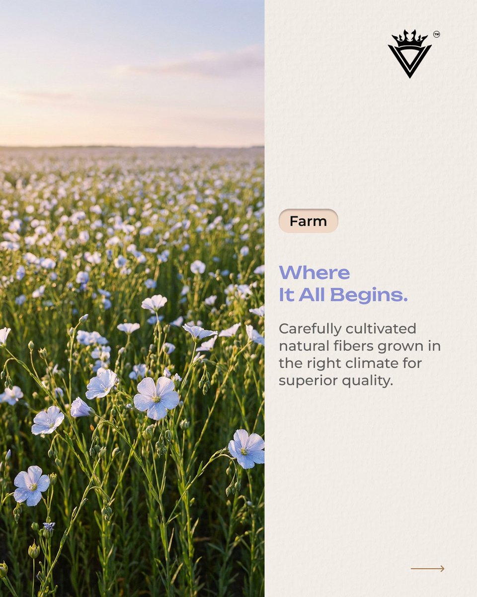 vlglobalemart's tweet image. Every premium fabric begins with nature.

At VL Global, we believe that exceptional garments are built on exceptional materials.

Because true style begins long before the shirt is made.

#VLGlobal #PremiumFabrics #TextileExcellence #FromFarmToFabric #QualityTextiles