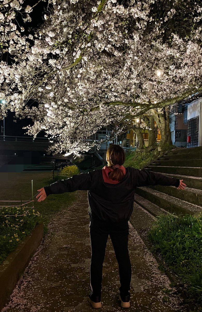 紅葉プリン。@低浮 tweet media