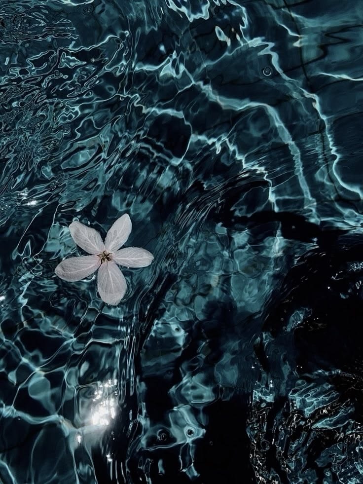 ocean tweet media