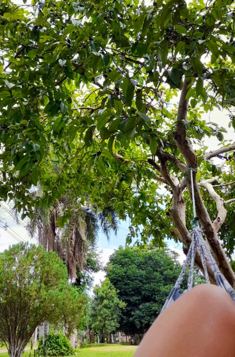 Lina 🌊🐳 tweet media