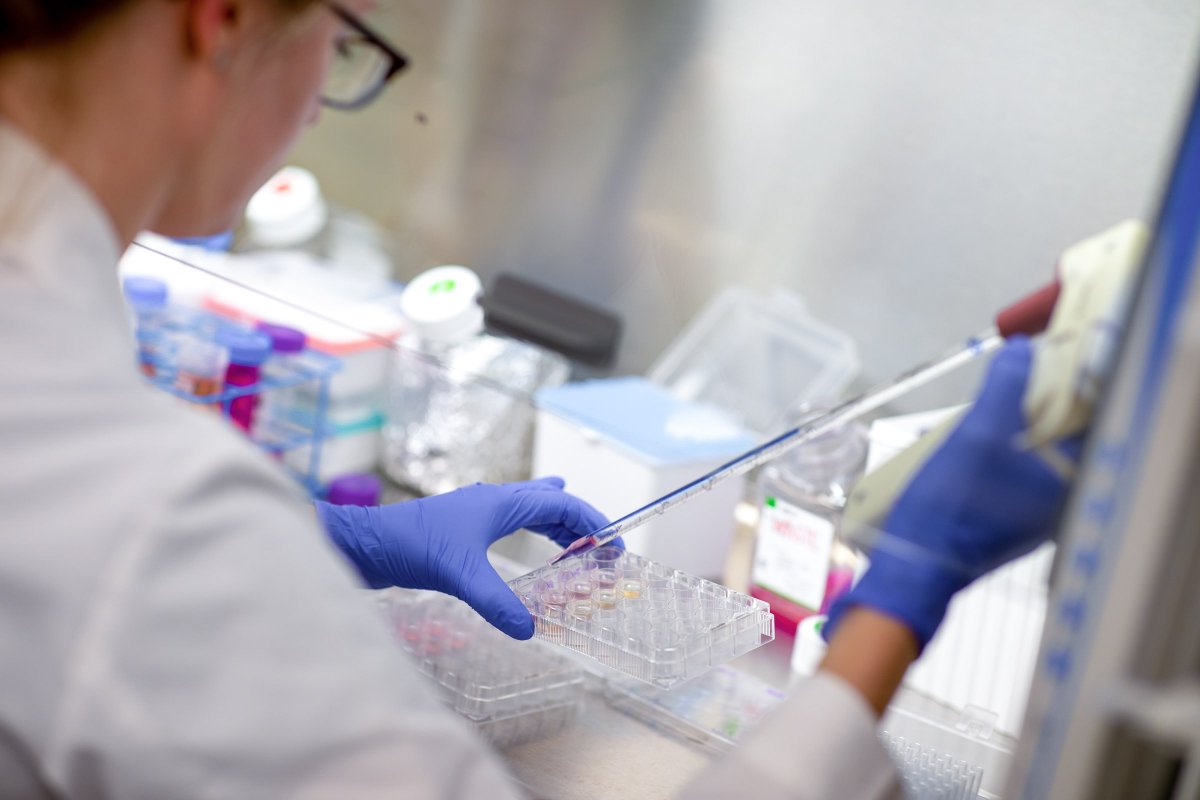 The Analyst tweet media