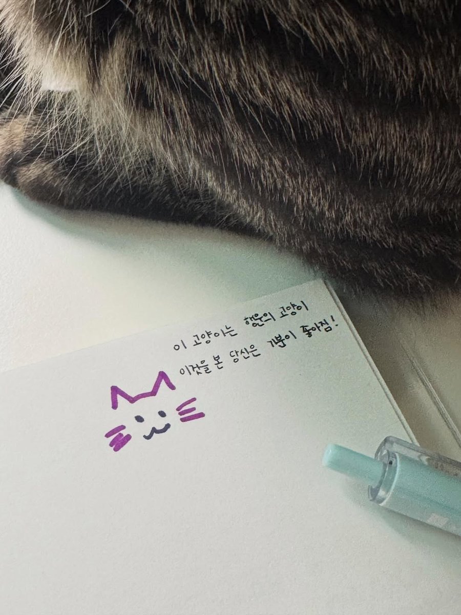 .☘︎ ݁˖ tweet media