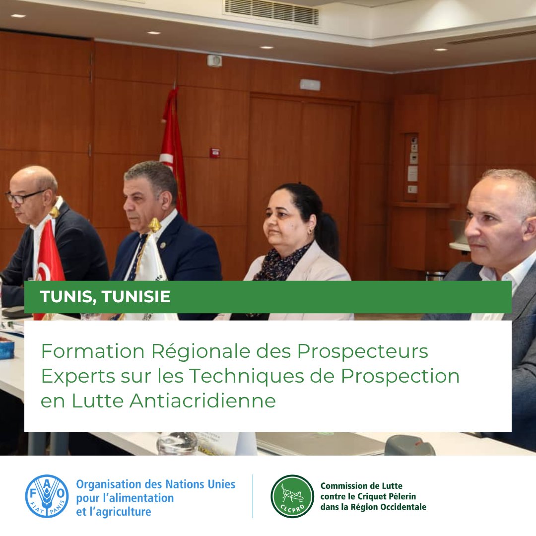 FAOCLCPRO's tweet photo. La cérémonie d’ouverture de la formation s’est tenue en présence du Coordinateur du Bureau sous-régional de la @FAO pour l’Afrique du Nord et Représentant de la @FAO en Tunisie 🇹🇳, aux côtés de la Directrice Générale de la Santé Végétale et du Contrôle des Intrants Agricoles. https://t.co/rmzoF86g34