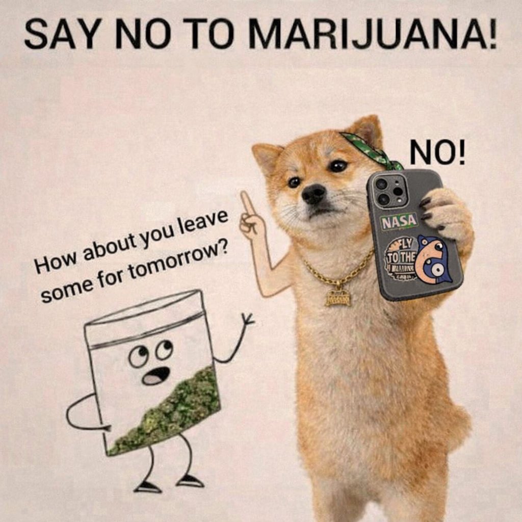 Hussle Mane tweet media