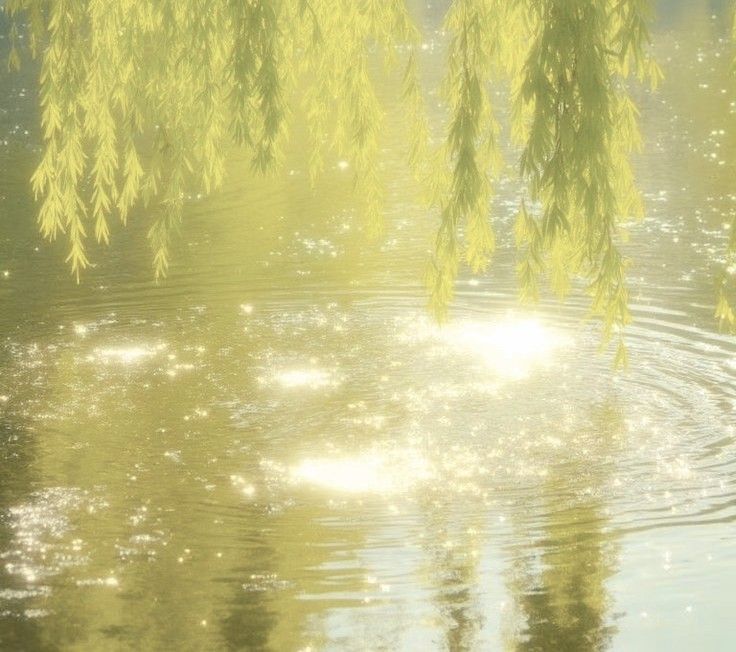 Anna eds tweet media