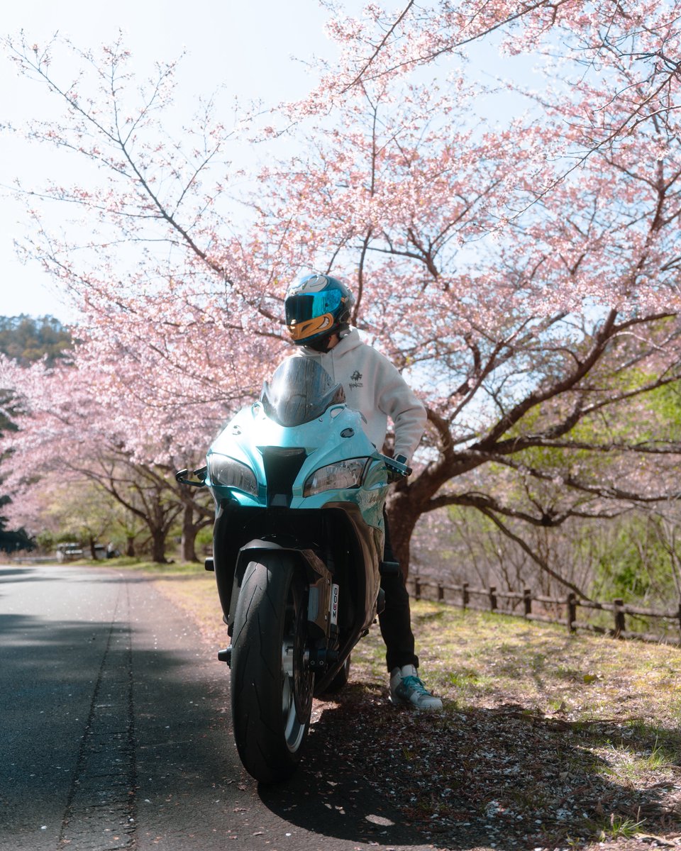 𝗧𝗼𝗿𝘂 tweet media