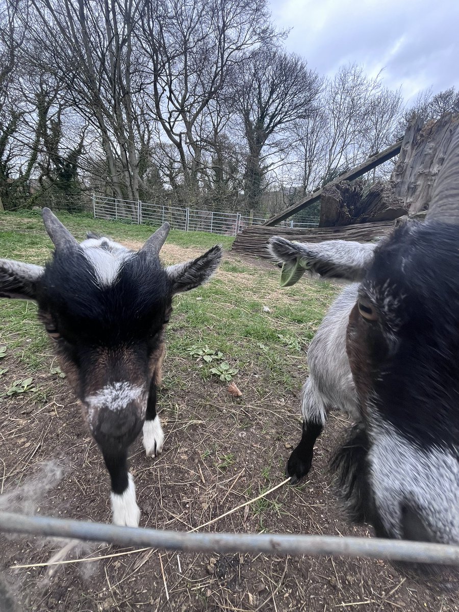 Dr Johanna Strong tweet media