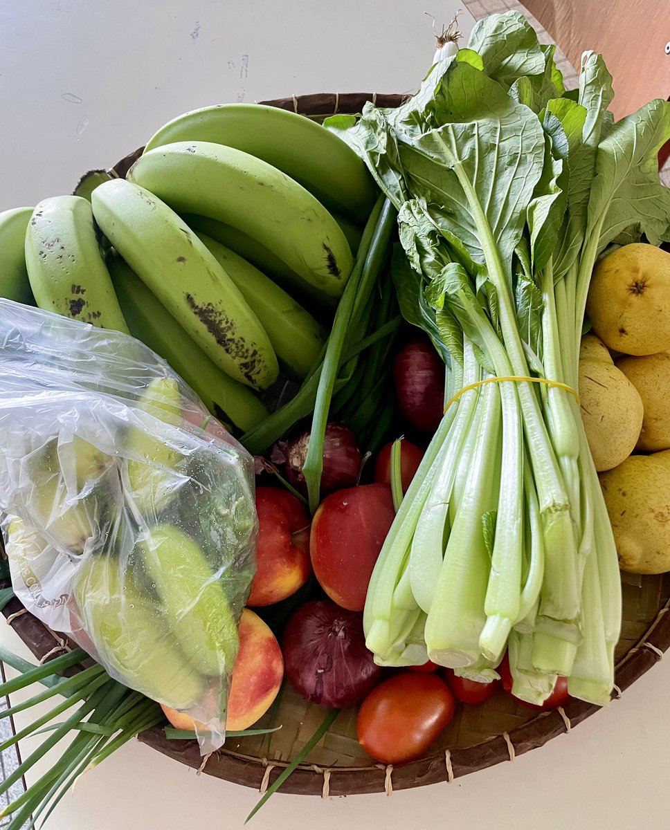 MP 974👨🏽‍🏫🌍⏳🏺🐈🐝✈️🇷🇪🇫🇷 tweet media