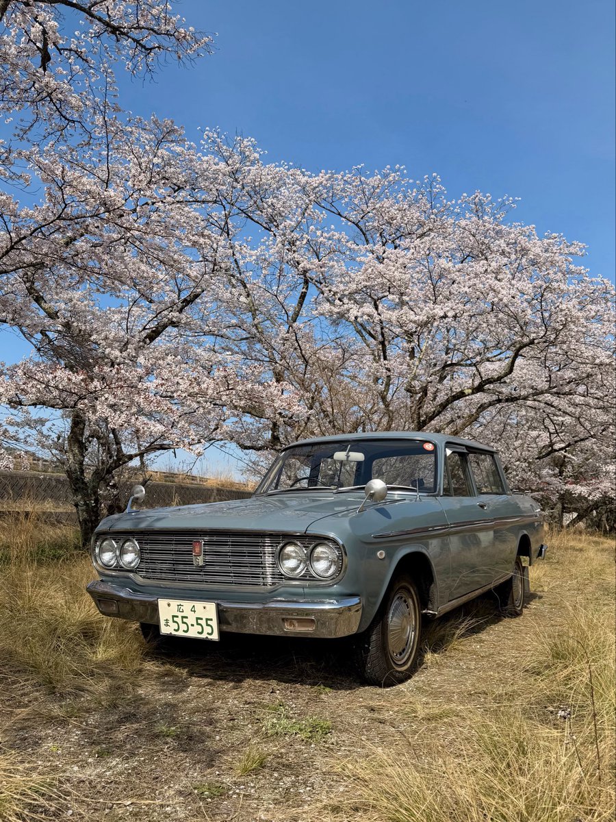 rika_mayu_ai's tweet photo. 50年前���桜は咲いてて
おじいちゃんがこの車を走らせてた

50年後もきっと桜は咲いてるけど
この車はどうなってるんだろう
その時私は83歳だよ https://t.co/5eKZvJy931