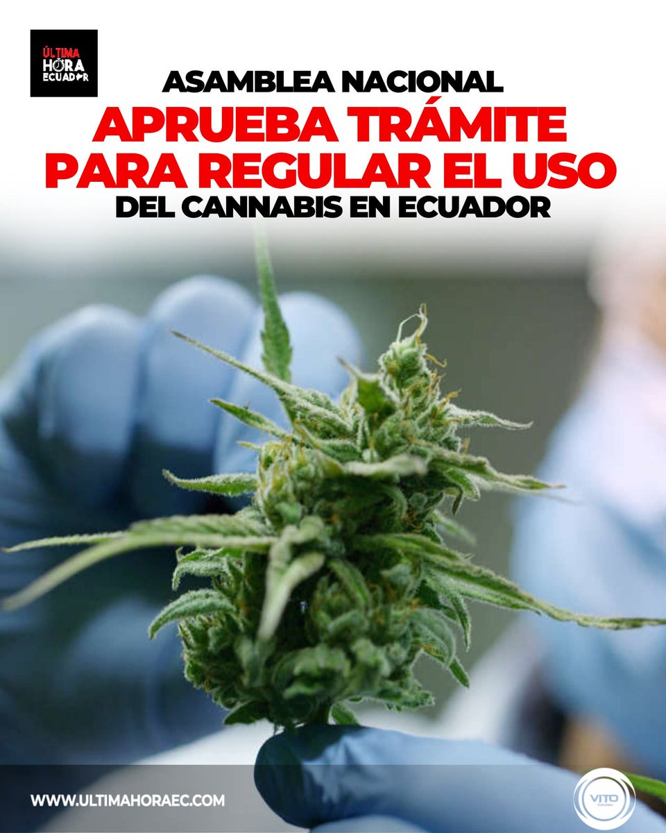 Autocultivo de hasta 30 plantas de marihuana .
Quieren cannabis medicinal?
Te prescribo sativex sin efectos  secundarios,  ni plagas . 
Aqui los Narcos solo necesitan ser vistos como empresarios ..