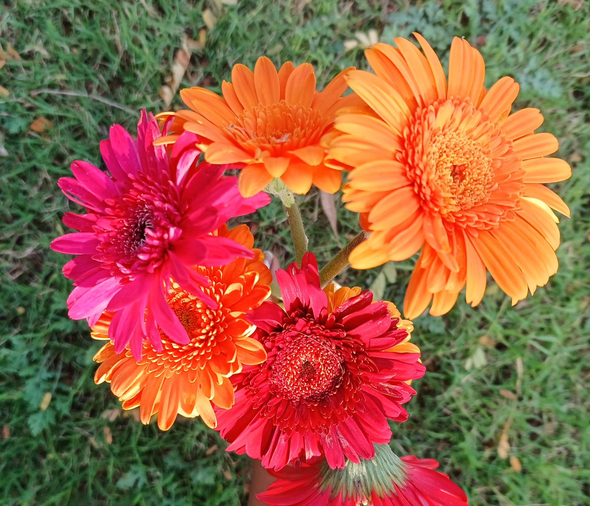 🇮🇳Ahamasmi योधः tweet media