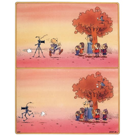 F4DBS Philippe tweet media