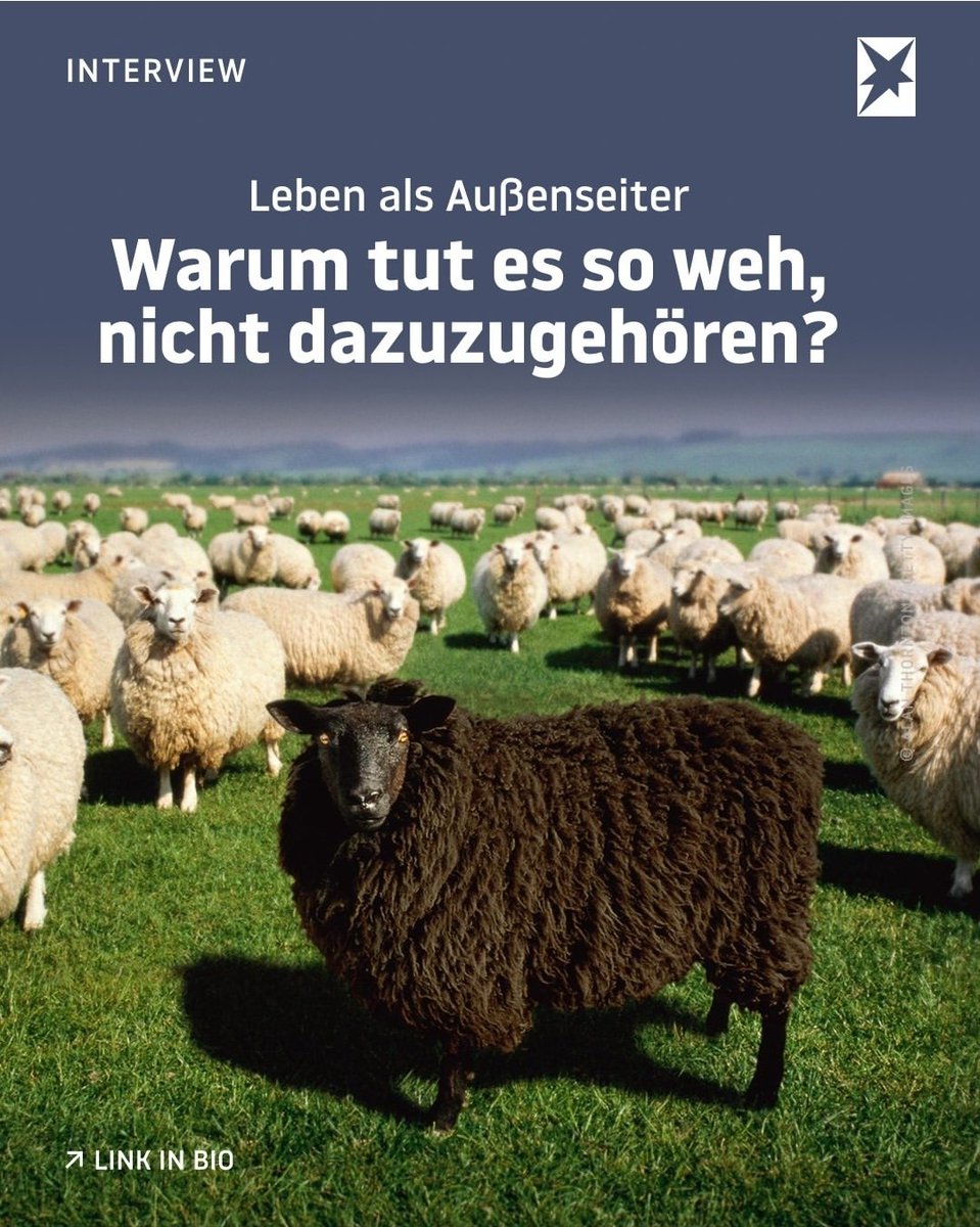 VolkerKetzer tweet media