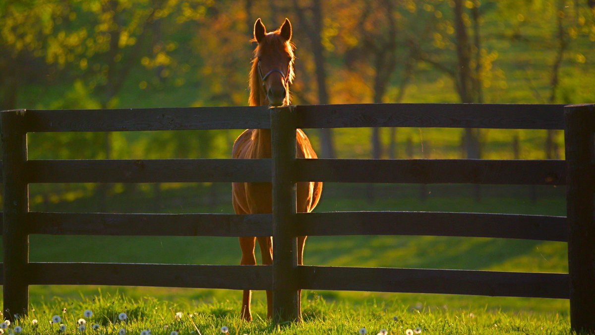 Scott Eckhardt tweet media