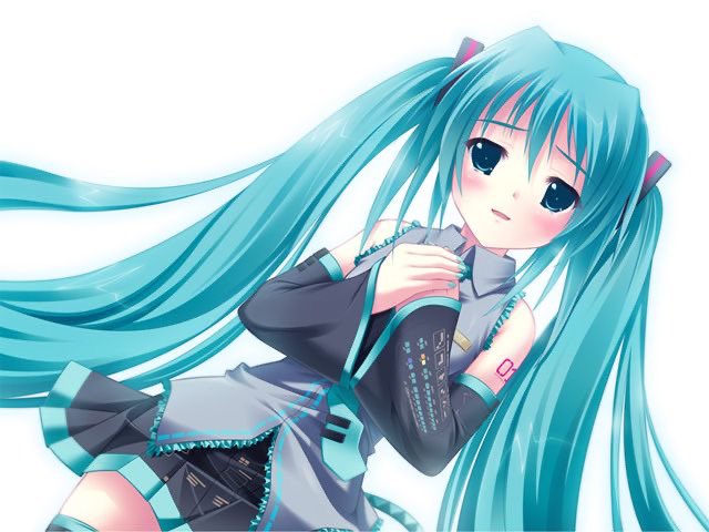 Maru tweet media