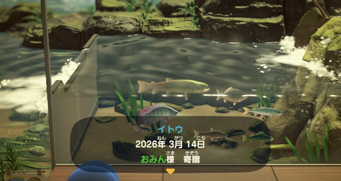 おみん tweet media