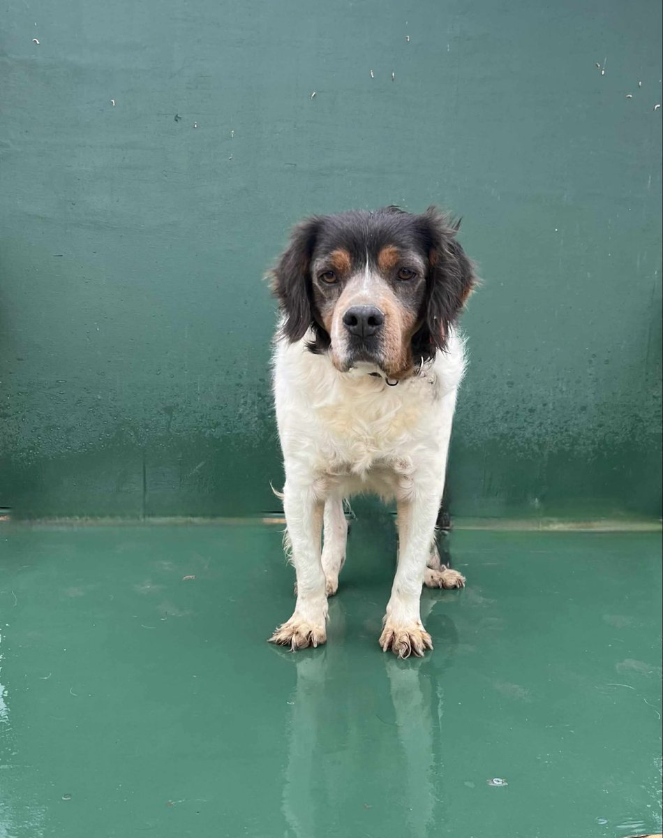 Hepad.hereve1pati 🐾🏡 tweet media