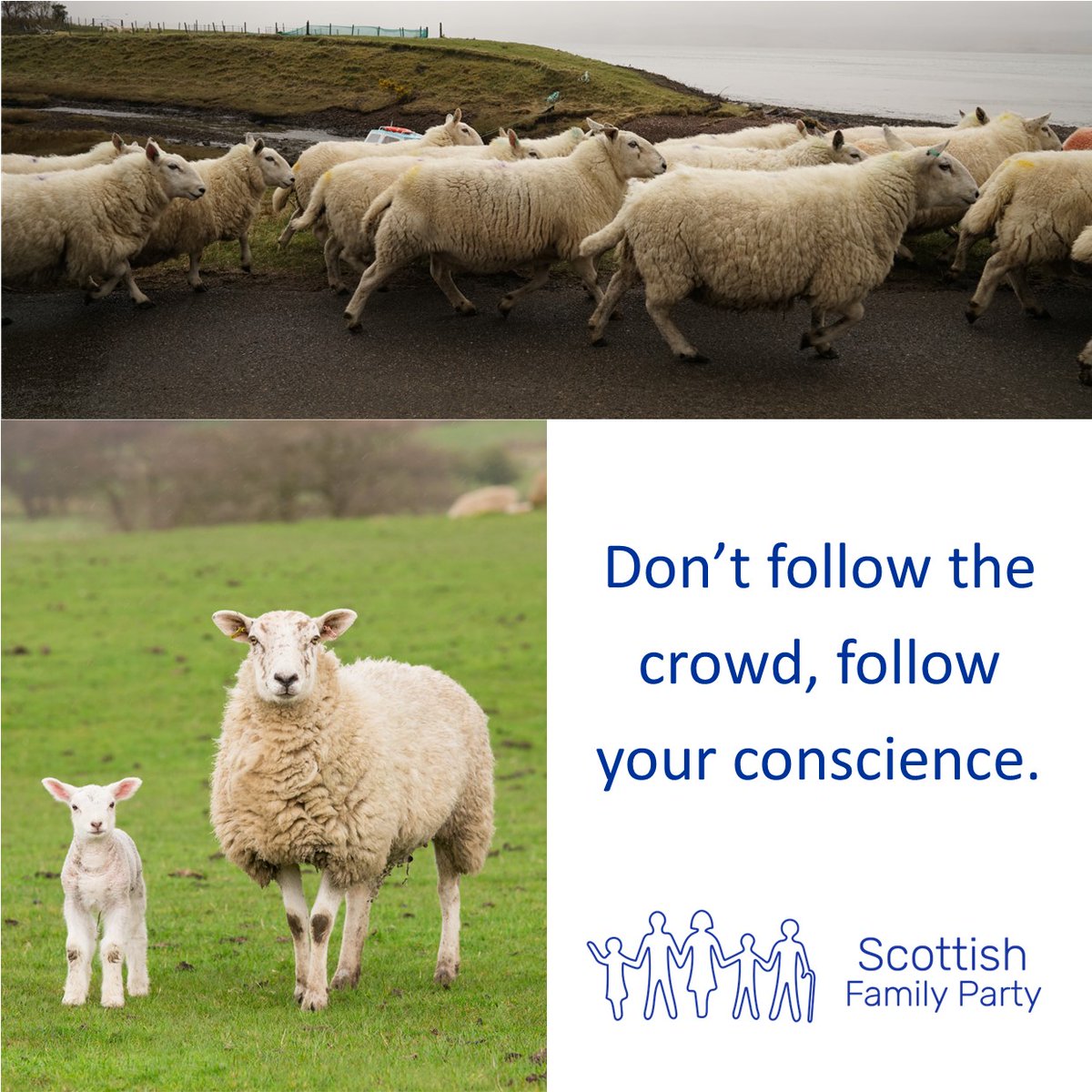 ScottishFamilyParty tweet media