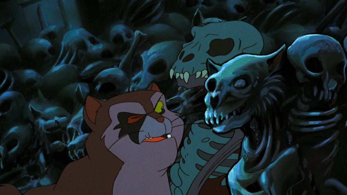 Jacob Calta tweet media