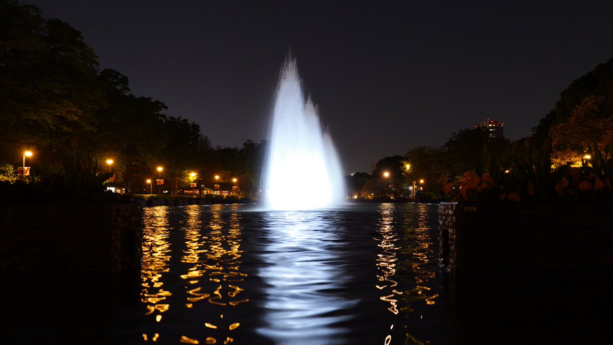 ばってりーよしだ@HWS CANINE tweet media