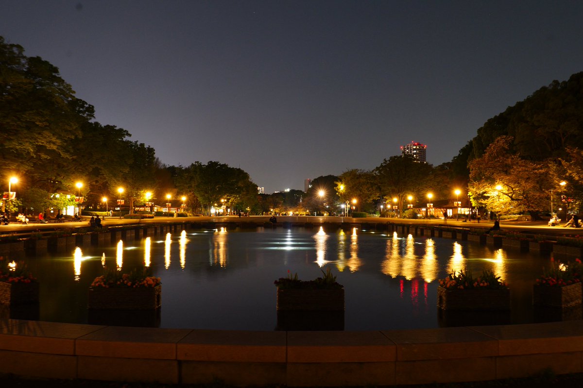 ばってりーよしだ@HWS CANINE tweet media