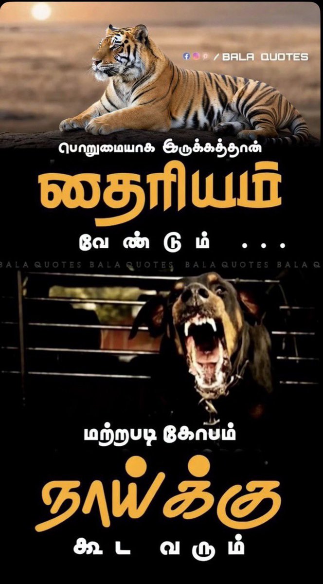 #TVK fans-க்கு ஒரு கேள்வி 🔥

மே 4க்கு பிறகு உங்க தலைவர் <a href="/TVKVijayHQ/">TVK Vijay</a> ஆஸ்திரேலியா போனா…

நீங்க என்ன பண்ணப் போறீங்க? 👇

A) அழுவோம் 😭
B) அஜித் ரசிகராக மாறுவோம் 🔥
C) NTK-க்கு வருவோம் ✊🏿
D) வேற ஏதாவது 😂

#தற்குறி_விஜய் #NTK #TNElection2026