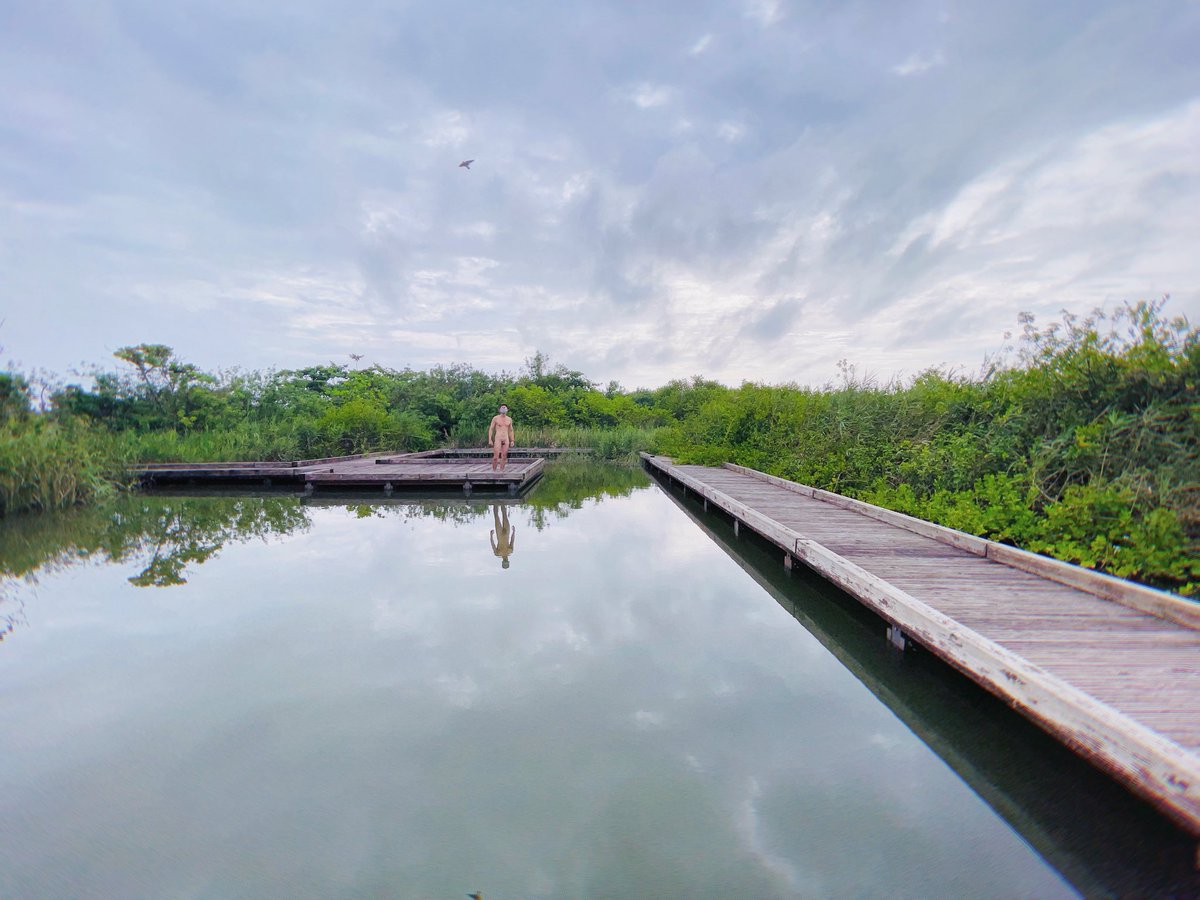 野外求生日記 tweet media