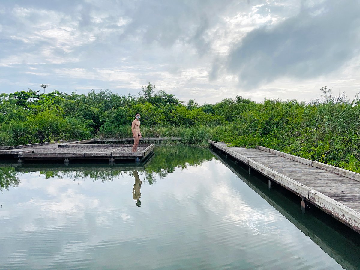 野外求生日記 tweet media