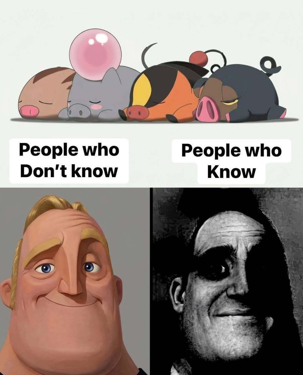 Pokémon Daily tweet media