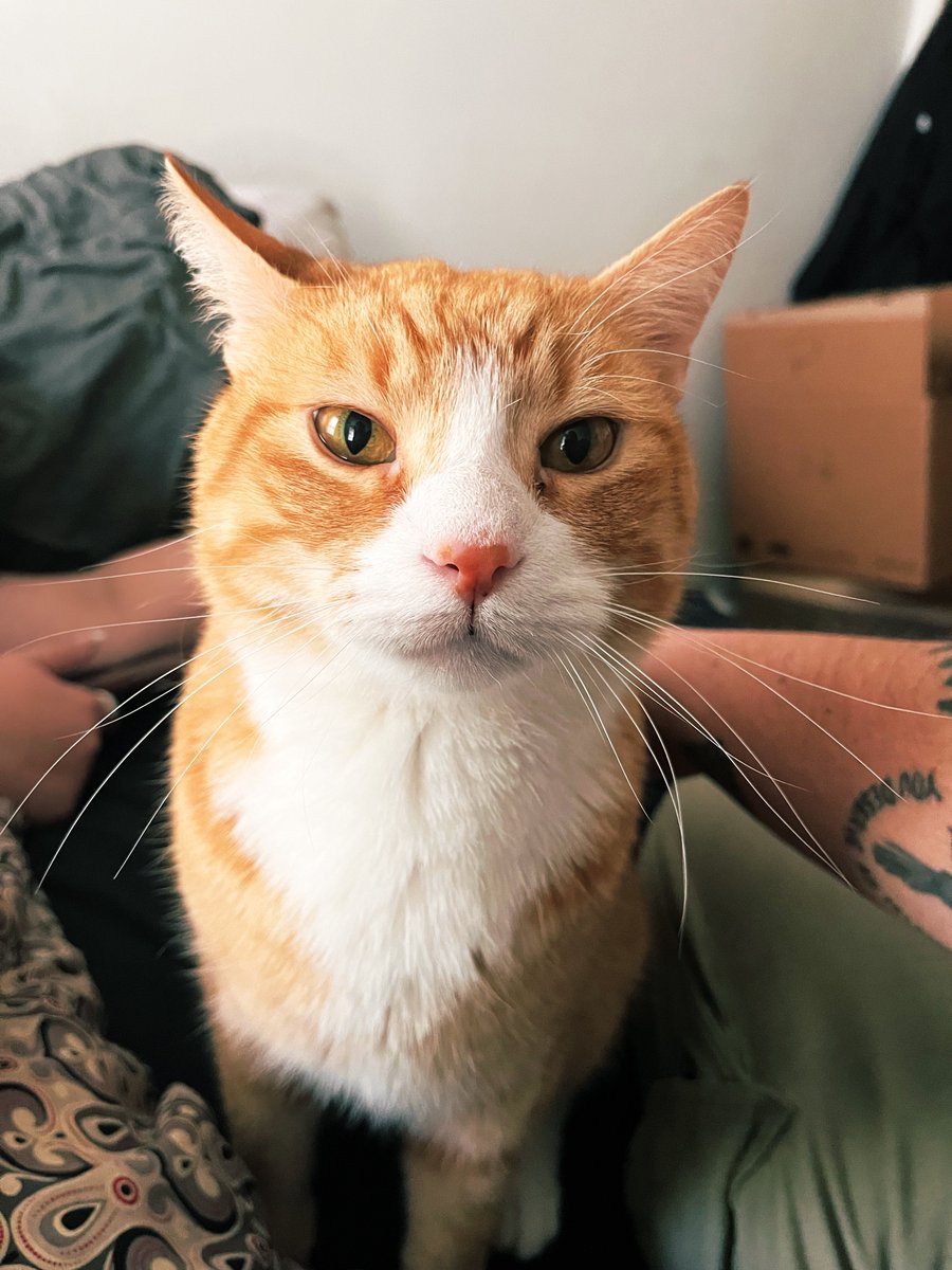 Jimmy King tweet media