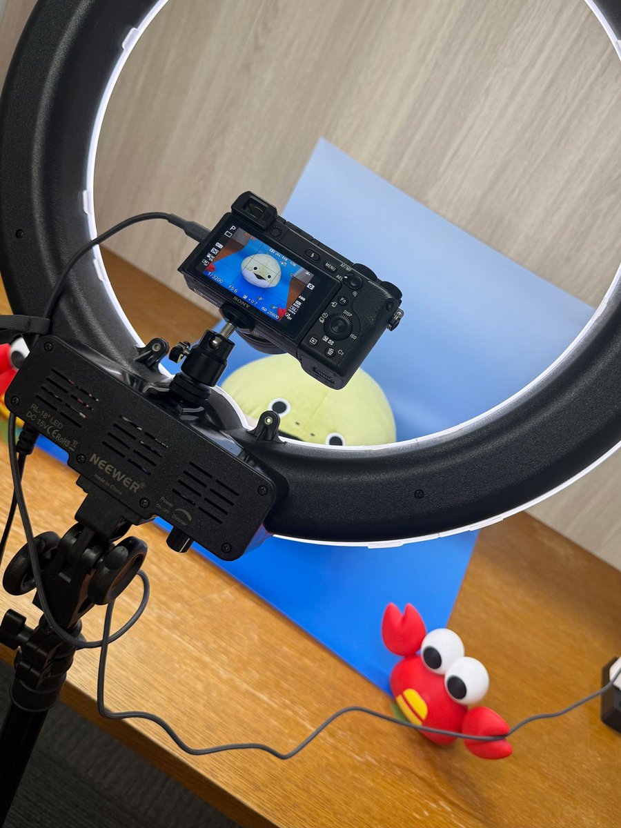 299RC@バスピ!の研究所です tweet media