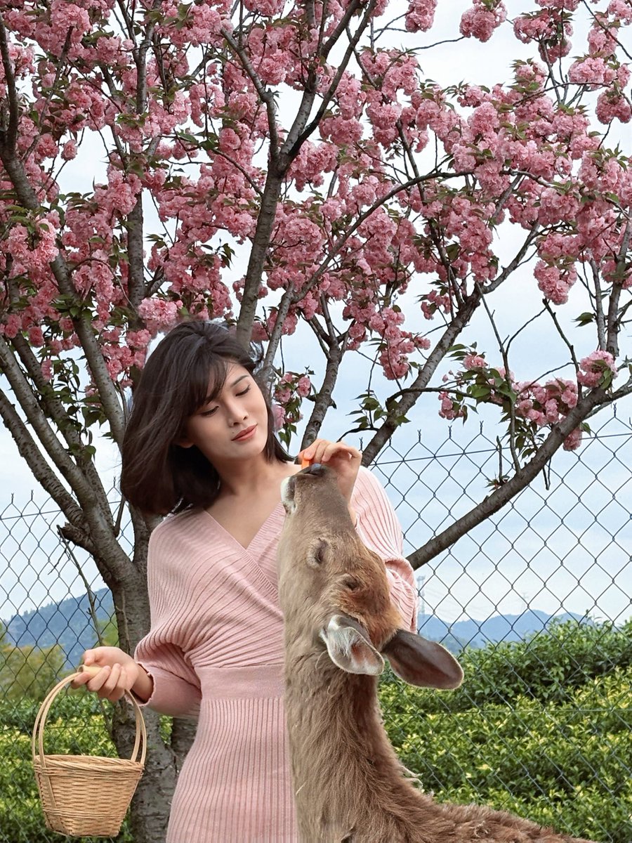 上海伪娘CD咪咪 tweet media