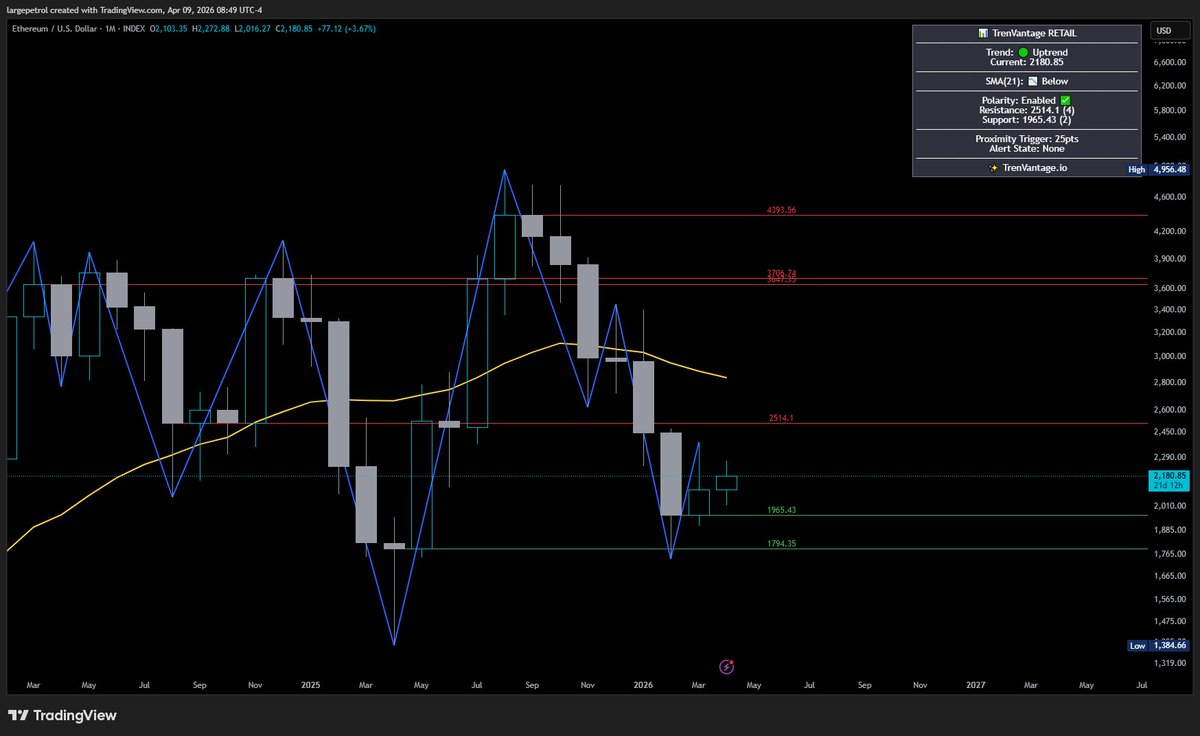 Large Petrol tweet media