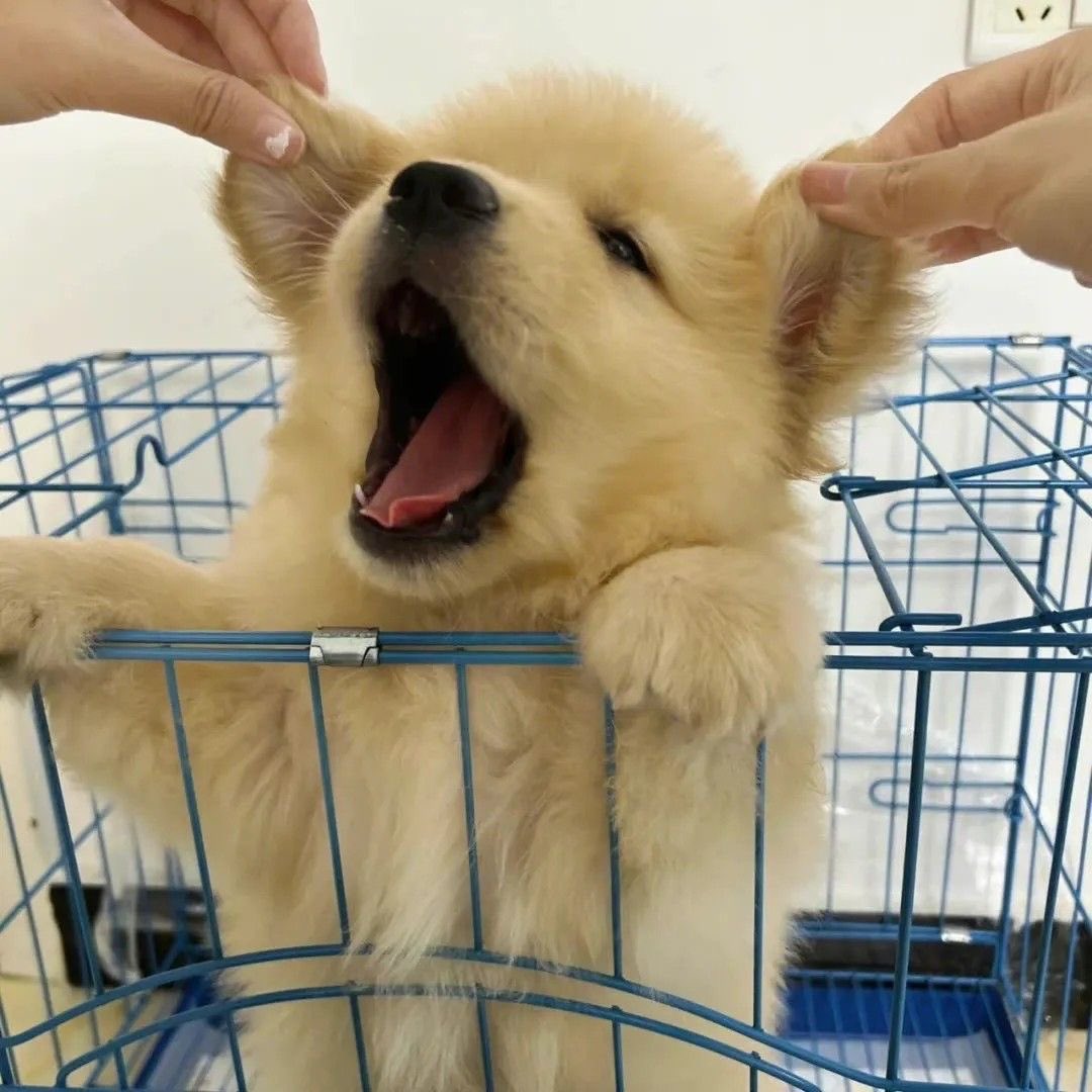 pmday 𐙚 ⋆｡ tweet media