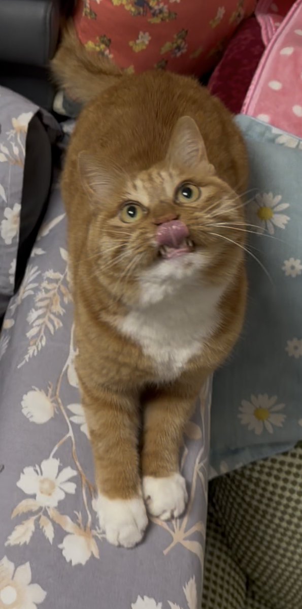 冰比冰水冰 tweet media