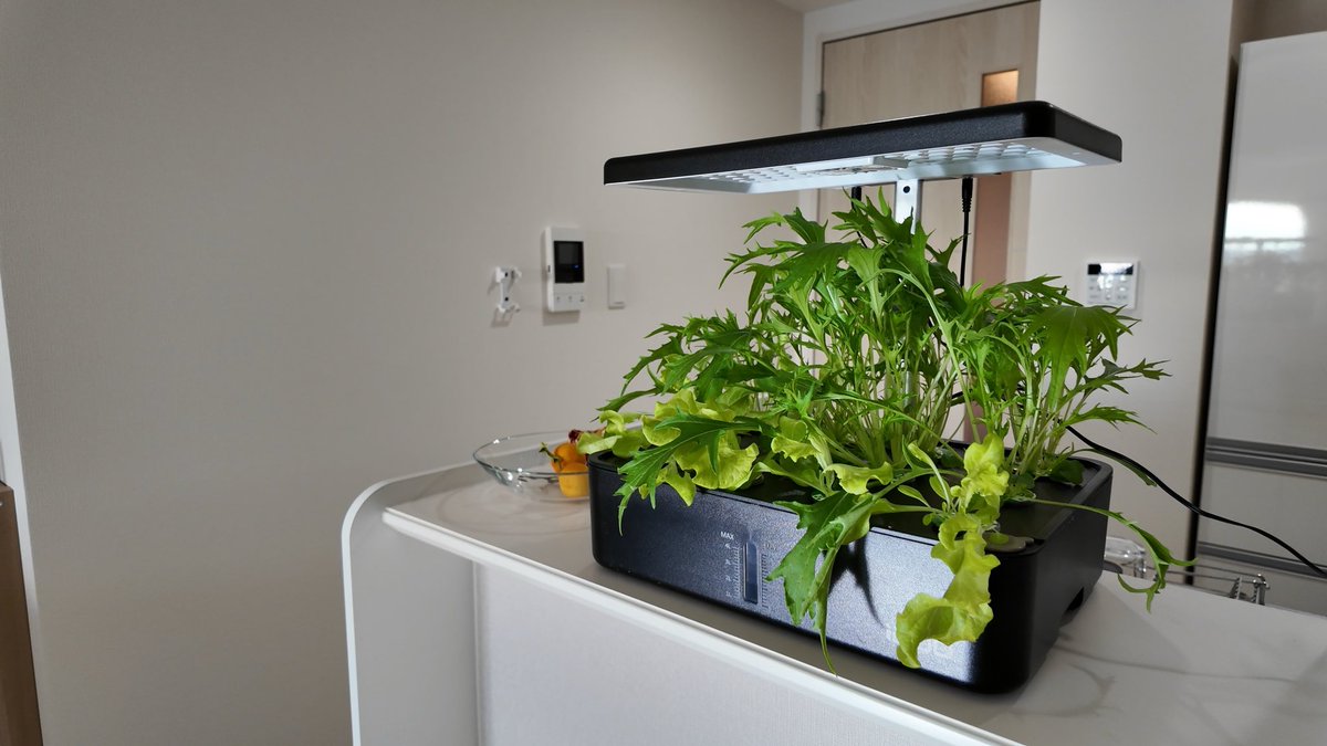 飽食のK tweet media