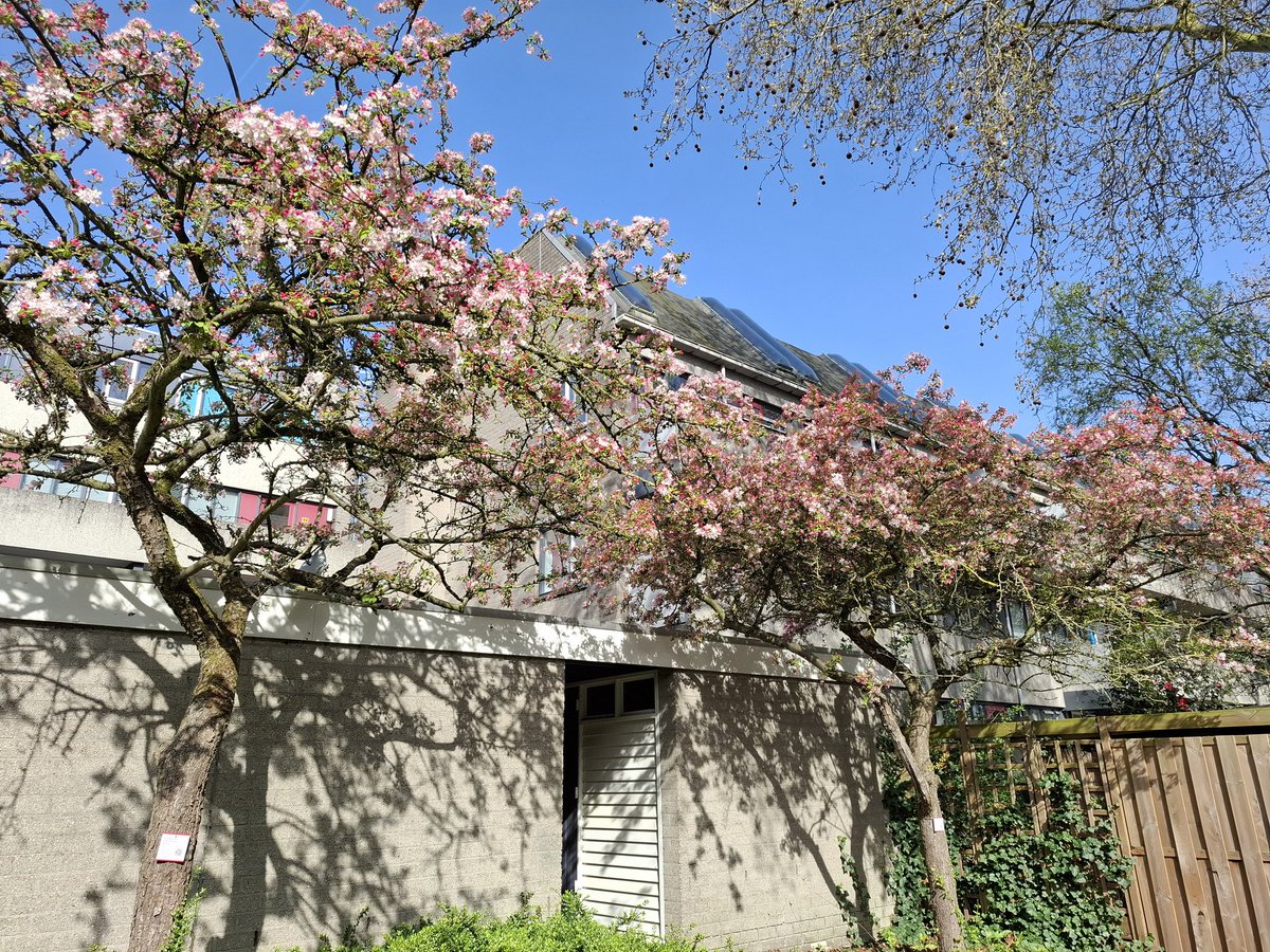 Maarten Molenaar tweet media