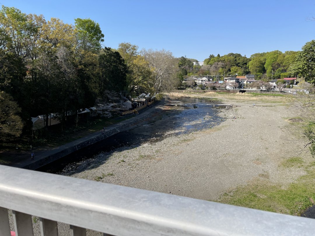 ひづめ@お仕事募集中 tweet media