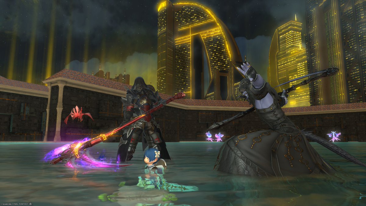 Gecko.C@FF14 Aegis鯖 tweet media